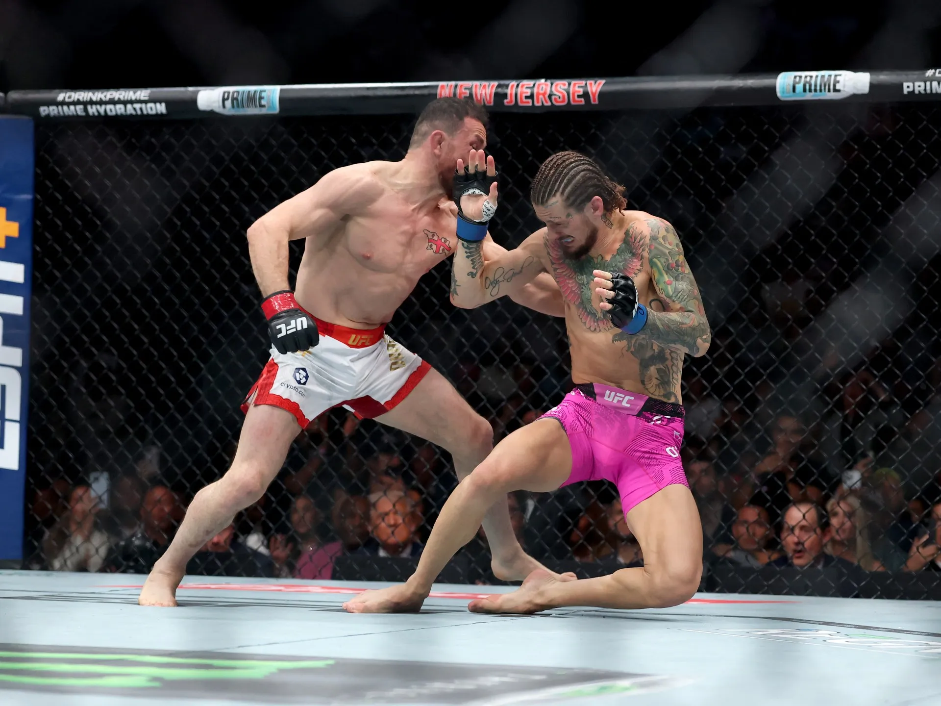 UFC 316: Merab Dvalishvili Hentikan Sean O’Malley untuk Pertahankan Gelar